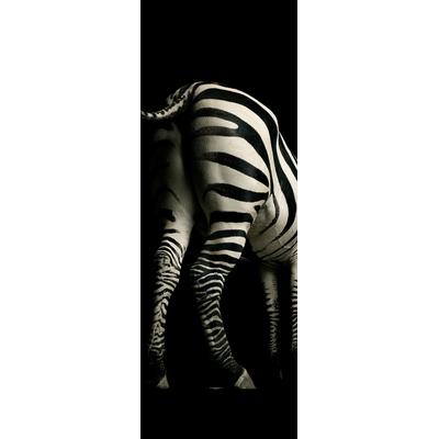 Fototapete ARCHITECTS PAPER "Zebra", schwarz (schwarz, weiß), B:1m L:2,8m, Vlies, Tapeten, Zebra Tapete Fototapete Zebra Panel 1,00m x 2,80m Schwarz Weiß