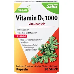 Vitamin D3 1000 vegan Vital-Kapseln Salu 30 St