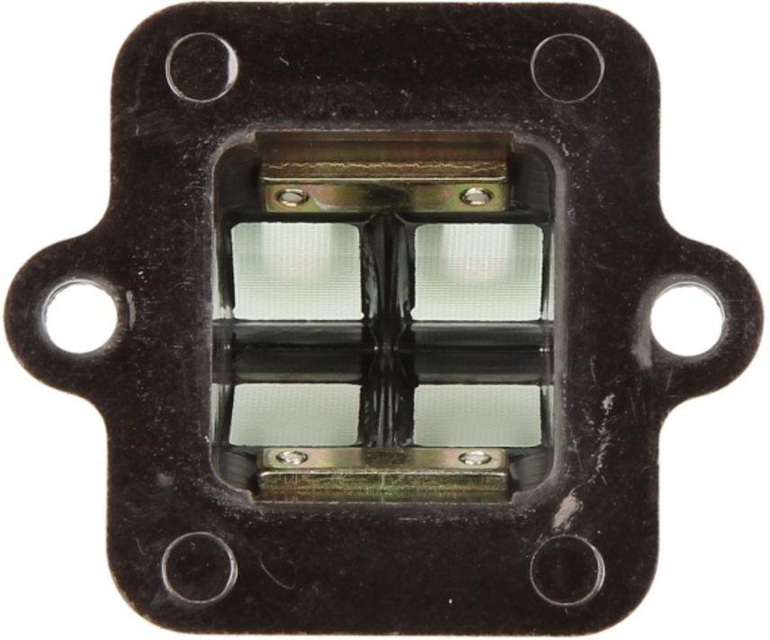 Diaphragme, carburateur RMS  10 056 0130