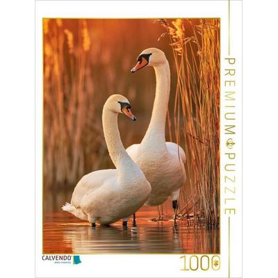 CALVENDO Puzzle Herbst in seiner schönsten Form | 1000 Teile Lege-Größe 64x48cm Foto-Puzzle für glückliche Stunden, von , Calvendo Puzzle