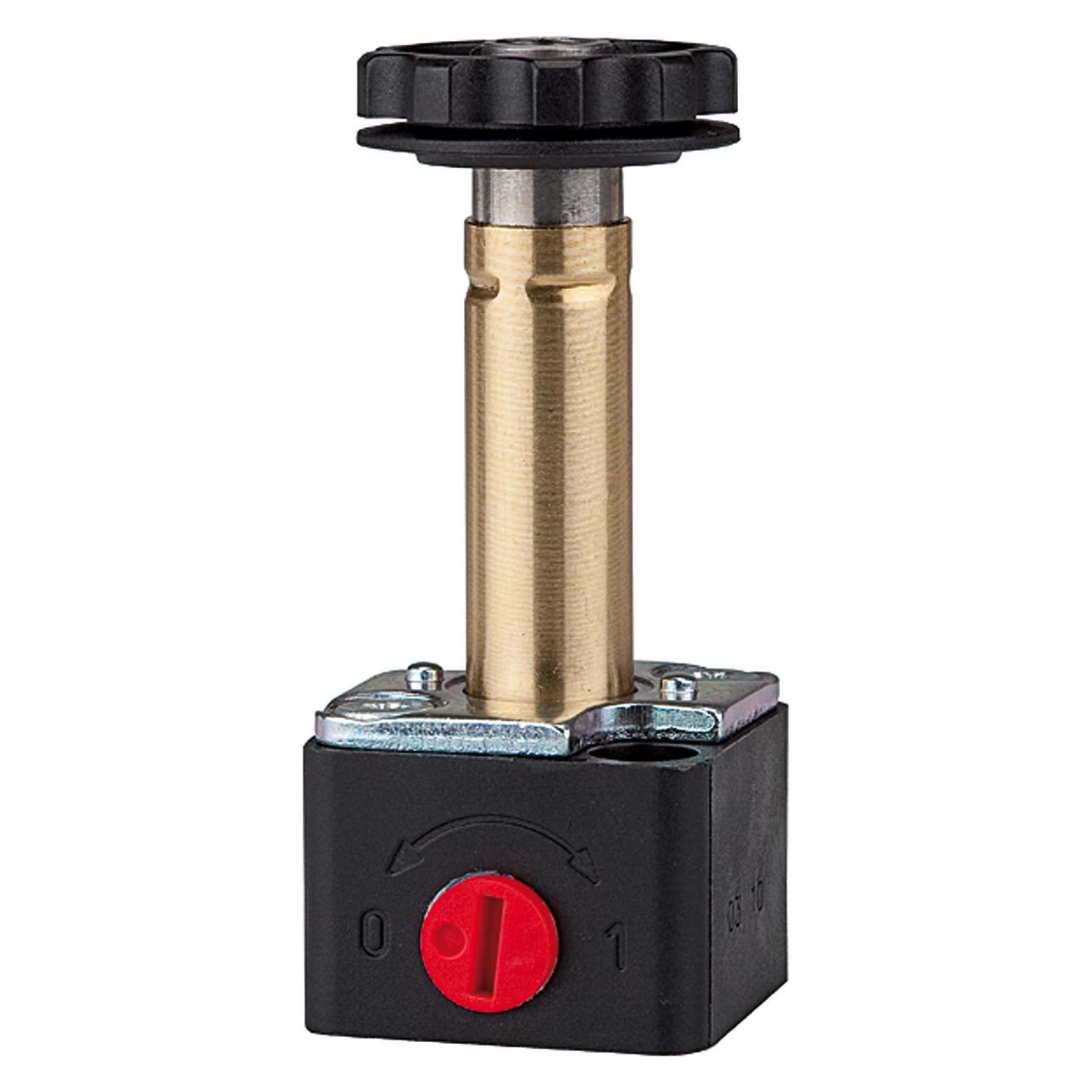 Riegler S 11-38N (S 11-38N)