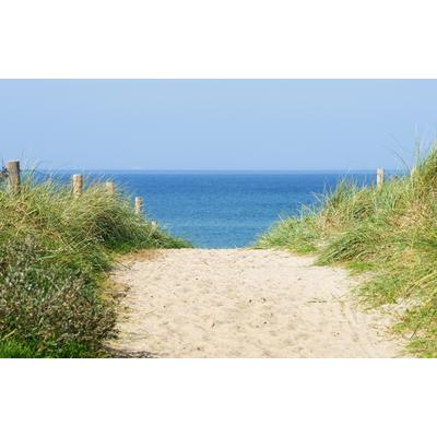 Fototapete PAPERMOON "Dune at the Ocean", bunt, B:2m L:1,49m, Vlies, Tapeten
