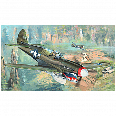 Trumpeter - P-40N War Hawk - 1:32 - 140 Teile 308069