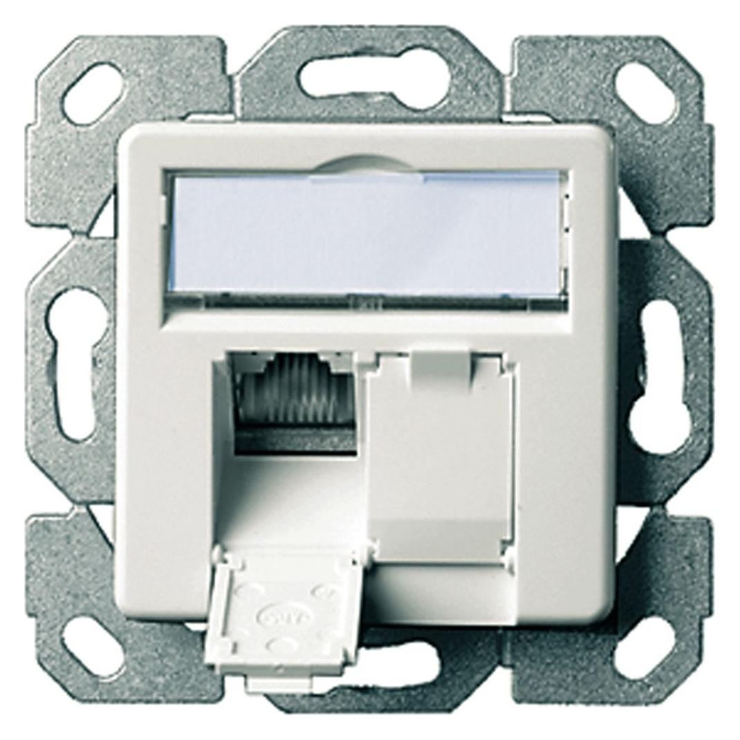 Telegärtner TELEGAERTNER UPDose Cat6/Cl.E double 2xRJ45 alpinwhite AMJ45 (25.16.8650) (J00020A0393)