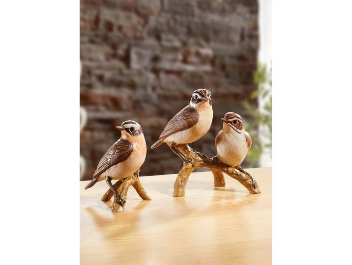 Braunkehlchen - Vogel des Jahres 2023, Bunt, Braunkehlchen auf Ast