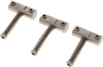 Guitar Monkey Evocomp Titan Tele Set titane