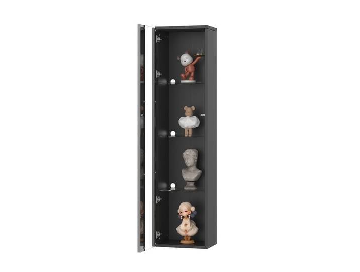 Fine Life Pro Eckvitrine Multifunktionale Vitrine 40x29x170cm Schwarz mit Glastrennwand