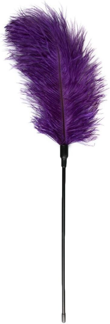 Easytoys Fetish Collection Chatouilleur de plumes violettes