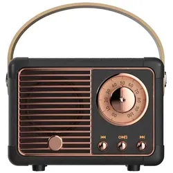 Avizar AVJ-Y115 Kabelloser Lautsprecher (6 h), Bluetooth Lautsprecher, Schwarz