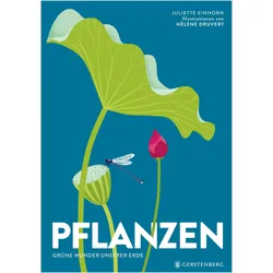 Pflanzen, Kinderbücher von Juliette Einhorn, Hélène Druvert, Ursula Bachhausen, Juliettte Einhorn