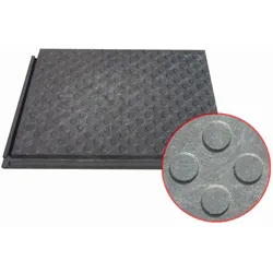 Hantelscheibe REPLAST, 800 x 600 x 43 mm, außen
