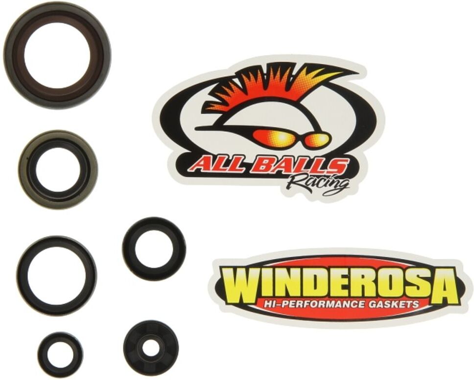 Pochette de joints moteur WINDEROSA W822348