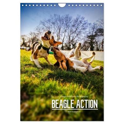 Beagle Action - Wilde Kuscheltiere (Wandkalender 2026 DIN A4 hoch), CALVENDO Monatskalender