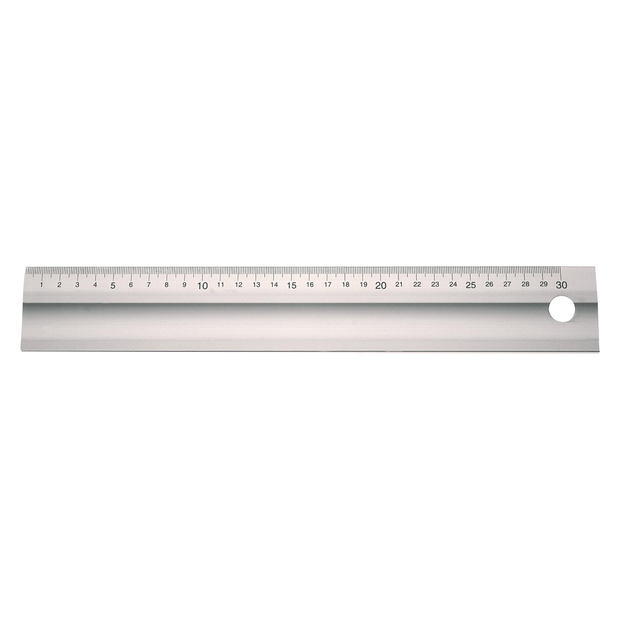 Tecwerk Lineal (100 cm, Aluminium) (2000858738)