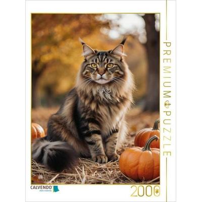 CALVENDO Puzzle Eine Maine Coon Katze sitzt im Herbst zwischen Kürbissen und zeigt ihre elegante Ausstrahlung. | 2000 Teile Lege-Größe 90x67cm Foto-Pu