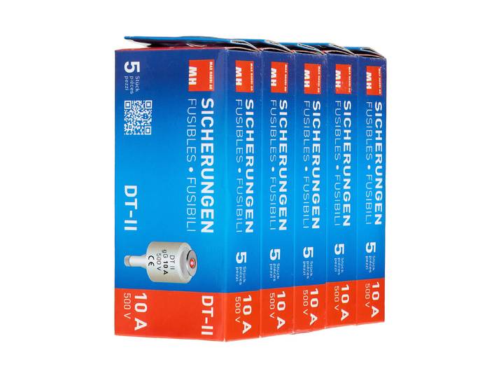Max Hauri Sicherung 10A träge 500V Dt-Ii / 5 Stück