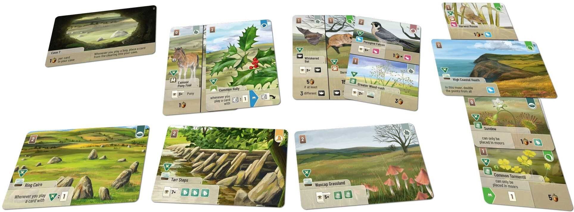 Forest Shuffle: Dartmoor – Exmoor Expansion by Lookout Spiele, Official Card-Based Expansion for Forest Shuffle Board Game