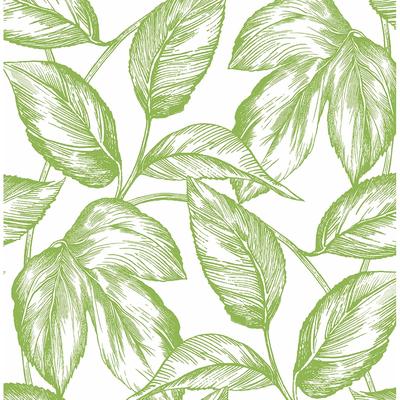 NextWall Sketched Leaves Peel and Stick Wallpaper