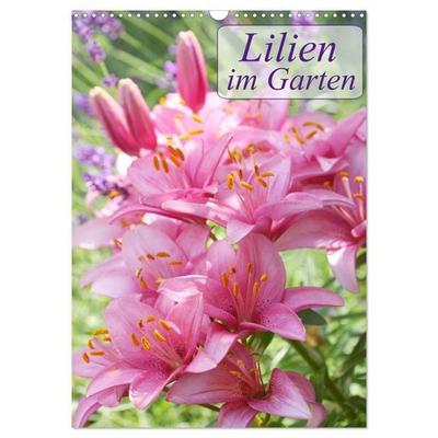 Lilien im Garten (Wandkalender 2027 DIN A3 hoch), CALVENDO Monatskalender