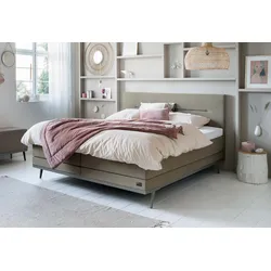 Boxspringbett Lifestyle Cinnamon