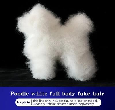 Inspire Essentials Pet Grooming Practice Dog Model For Training And Styling 1
