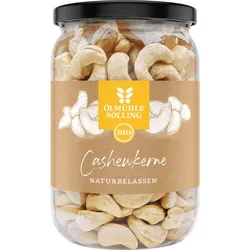 Bio Cashewkerne 330 g | naturbelassen