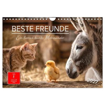 Beste Freunde - ein tierisch buntes Miteinander (Wandkalender 2027 DIN A4 quer), CALVENDO Monatskalender