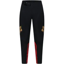 Fox, Jungen, Velohosen, Yth Flexair Pant Goldstone SE (28), Schwarz