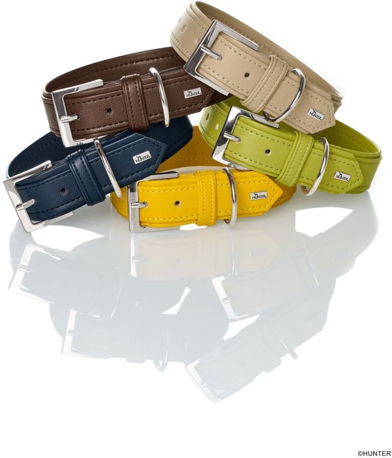 DOG SPORT HUNTER Halsband Amalfi XS (35), gelb
