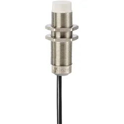 Telemechanique Sensors Näherungsschalter induktiv XS218SANAL2