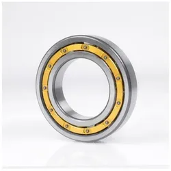 Fag Rillenkugellager 61819 -Y ID 95mm AD 120mm Breite13mm