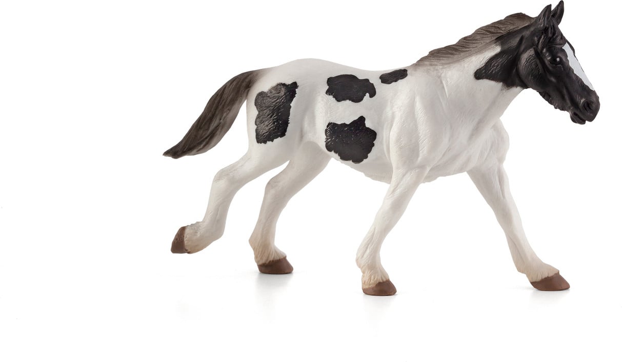 Animal Planet Tinker jonge hond