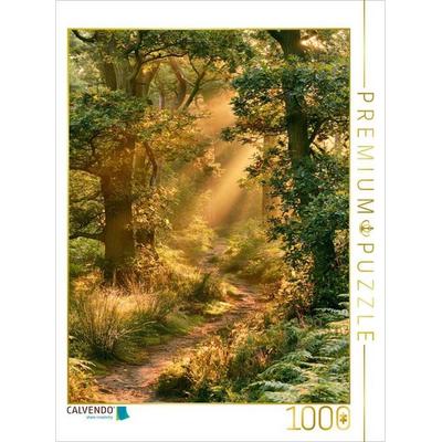CALVENDO Puzzle Wenn der Wald leuchtet | 1000 Teile Lege-Größe 64 × 48 cm Foto-Puzzle für glückliche Stunden, von , Calvendo Puzzle
