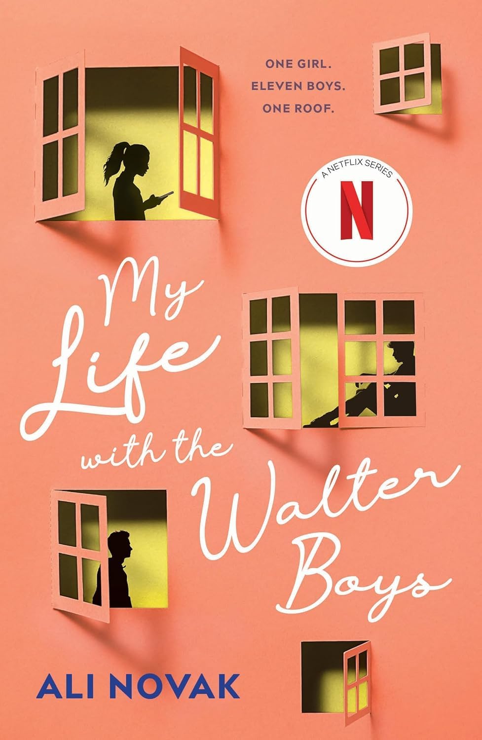 Sourcebooks Fire My Life with the Walter Boys Series 2 Books Collection Set by Ali Novak - Paperback - Young Adult Romance - Netflix Series Tie-In