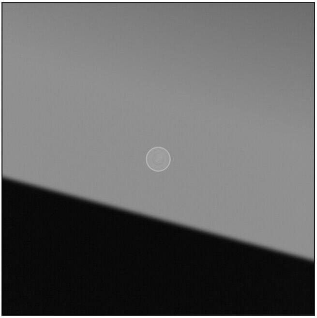 Gira Module caméra noir 5561000 (5561000)