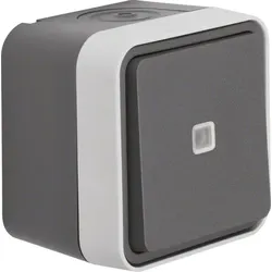 Berker Taster Wechsler lichtgrau 50763505