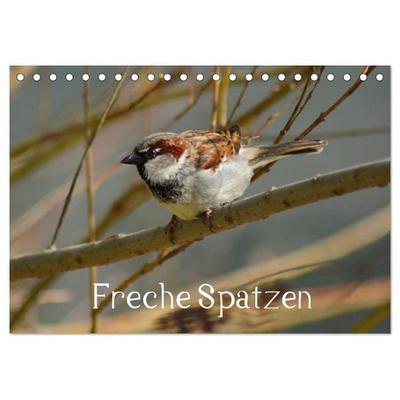 Freche Spatzen (Tischkalender 2027 DIN A5 quer), CALVENDO Monatskalender
