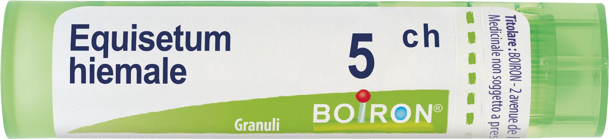 Equisetum Hiemale 5ch Granuli Multidose Boiron