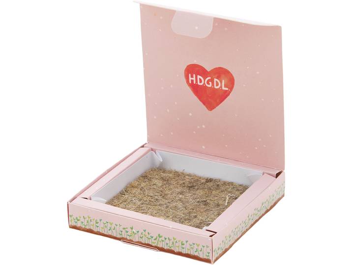 Wildblumensaatgut-Pflanzset Hab dich ganz doll lieb
