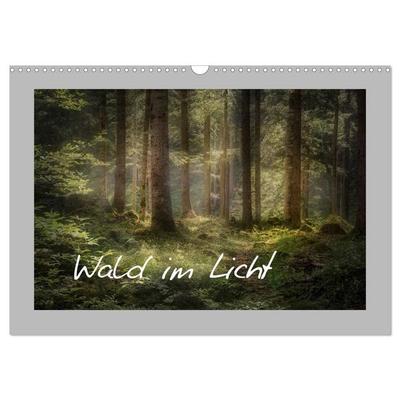 Wald im Licht (Wandkalender 2027 DIN A3 quer), CALVENDO Monatskalender