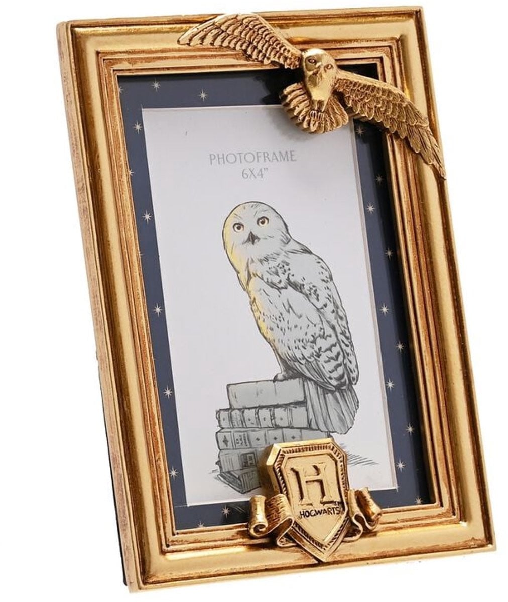 Warner Bros Harry Potter Alumni Hedwig Decoratieve Fotolijst - Goudkleurig