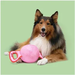 Coockoo Zerrspielzeug POWER (Wurfspielzeug Hund, Zerrspielzeug Hund), Hundespielzeug