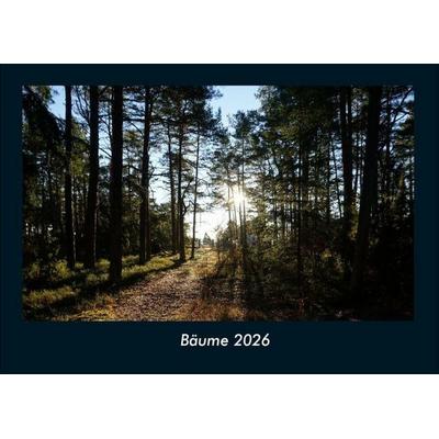 Bäume 2026 Fotokalender DIN A4