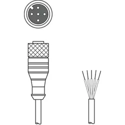 Leuze Anschlussleitung CB-M12-50000-5GF