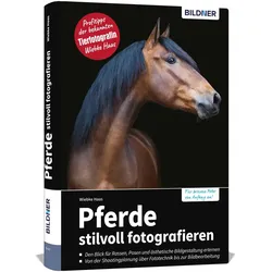 Pferde stilvoll fotografieren, Ratgeber von Wiebke Haas