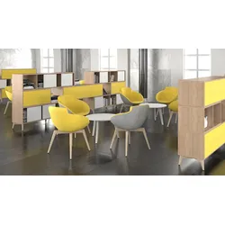 Regalsystem Büro BG-Line Raumteiler Regal