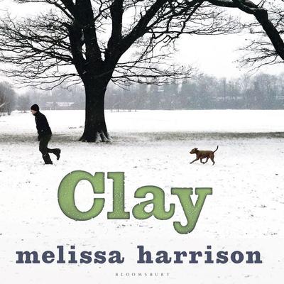 Clay - Melissa Harrison, Audio, 9781526647177