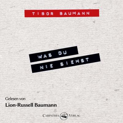 Was du nie siehst - Tibor Baumann, Audio, 9783943709995