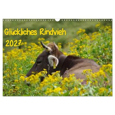 Glückliches Rindvieh 2027 (Wandkalender 2027 DIN A3 quer), CALVENDO Monatskalender
