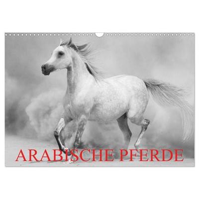 Arabische Pferde (Wandkalender 2026 DIN A3 quer), CALVENDO Monatskalender